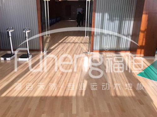 健身馆运动木地板