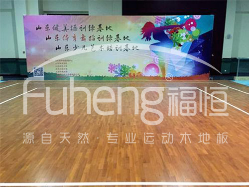 健身馆运动木地板