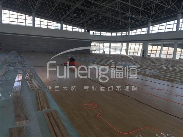 西红门体育公园3000平米体育馆