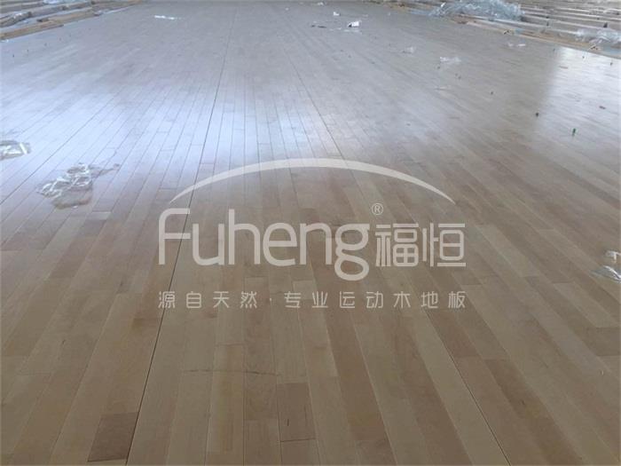 西红门体育公园3000平米体育馆