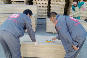 木地板湿度检测设备