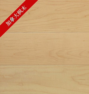 进口北美枫木地板