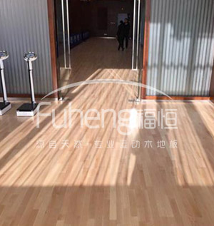 健身馆运动木地板