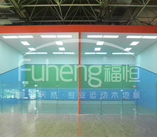 中国残奥中心壁球馆工程 中国残奥中心壁球馆工程